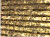 Blick ins Bienenvolk